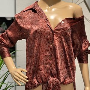 Zara versatile satin Dress/Blouse.